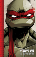 Teenage Mutant Ninja Turtles: The IDW Collection Volume 1