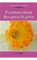 Flowers From Bulbous Plants