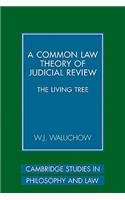 Common Law Theory of Judicial Review