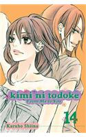 Kimi ni Todoke: From Me to You, Vol. 14