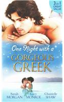 One Night With A Gorgeous Greek