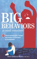 Big Behaviors in Small Containers