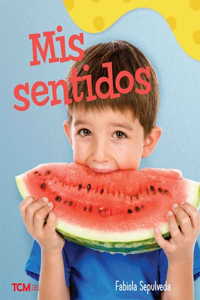 Mis sentidos: A Wordless Nonfiction Book(Exploration Storytime)
