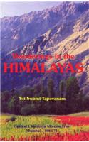 Wanderings In The Himalayas