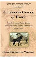 Certain Curve of Horn