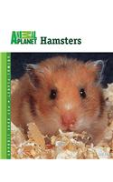 Hamsters