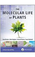 The Molecular Life of Plants