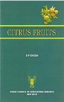 Citrus fruits