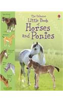 Little Book of Horses and Ponies