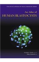 Atlas of Human Blastocysts