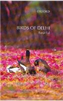 Birds of Delhi