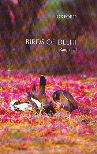 Birds of Delhi