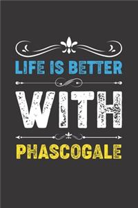 Life Is Better With Phascogale