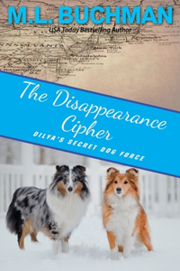 The Disappearance Cipher: a coming of age romantic suspense