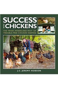 Success with Chickens