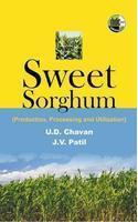 Sweet Sorghum (Production, Processing and Utilization)