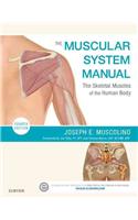 Muscular System Manual