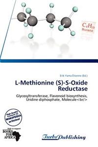 L-Methionine (S)-S-Oxide Reductase