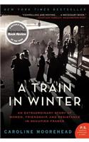 Train in Winter
