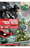 Batman/Teenage Mutant Ninja Turtles Deluxe Edition