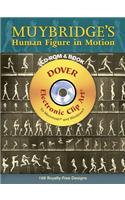 Muybridge's Human Figure in Motion