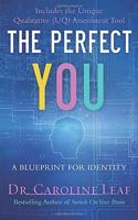 The Perfect You - A Blueprint for Identity