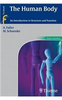 Human Body: An Introduction to Structure and Function
