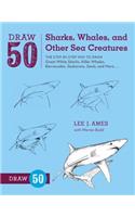 Draw 50 Sharks, Whales, and Other Sea Creatures