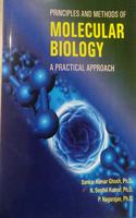 PRINCIPLES AND METHODS OF MOLECULAR BIOLOGY : A PRACTICAL APPROACH
