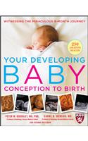 Your Developing Baby, Conception to Birth