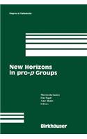 New Horizons in Pro-P Groups