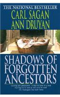 Shadows of Forgotten Ancestors