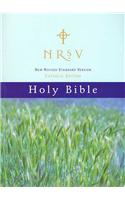 NRSV, Catholic Edition Bible, Paperback, Hillside Scenic