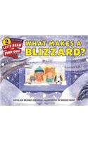What Makes a Blizzard?