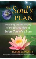 Your Soul's Plan