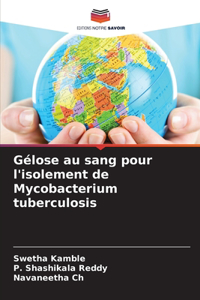 Gélose au sang pour l'isolement de Mycobacterium tuberculosis