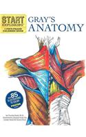 Start Exploring: Gray's Anatomy