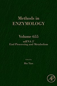 mRNA 3’ End Processing and Metabolism