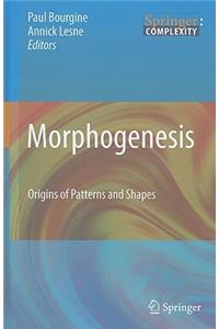 Morphogenesis