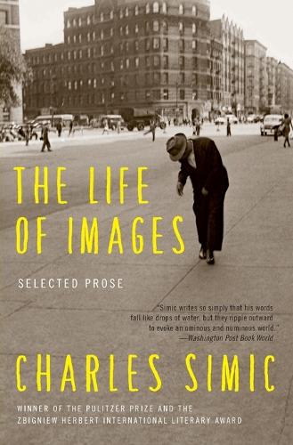 The Life of Images
