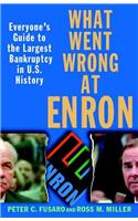 What Went Wrong at Enron