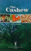 The Cashew