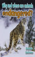 Why and Where are Animals Endangered