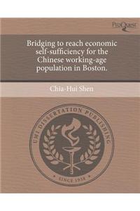Bridging to Reach Economic Self-Sufficiency for the Chinese Working-Age Population in Boston