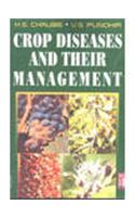 Crop Diseases And Their Management
