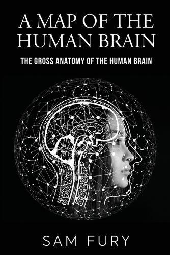 Map of the Human Brain
