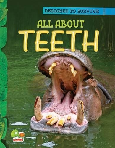 Designed to Survive: All About Teeth