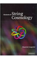 Elements of String Cosmology