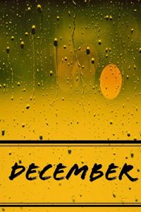 journal journal notrbook