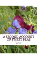Second Account of Sweet Peas